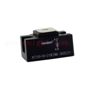 MZ100