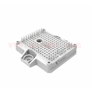 10-EY066PA100SA-L194F38T