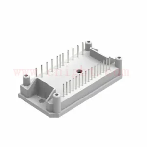 20-1B06IPB010RC03-P955A65