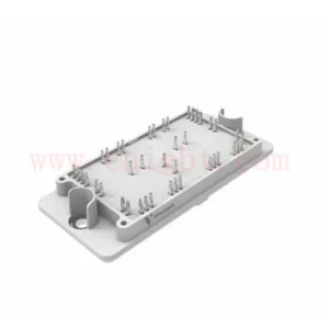 30-PT10B2A200S706-PA79L98Y