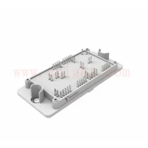 30-PT10NAA200S701-PE59F08Y