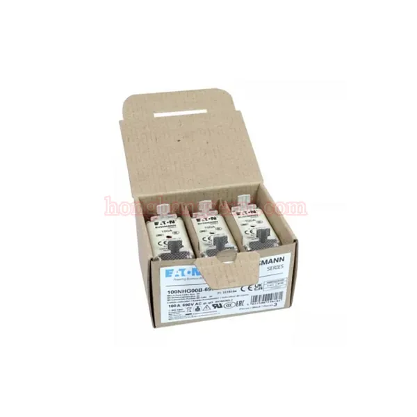 100NHG00B-690 - 图片 6