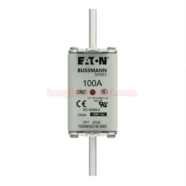 100NHG1B-690