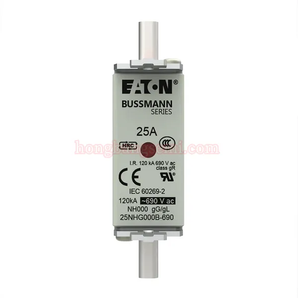 25NHG000B-690