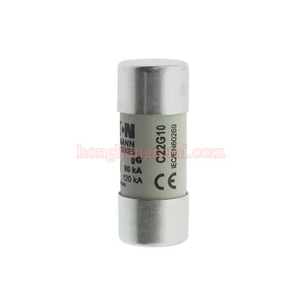 C22G10 - 图片 2