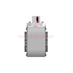 RS12-5-250V/2200A-PK1